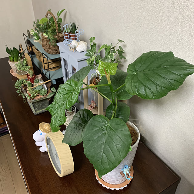JUNさんの実例写真