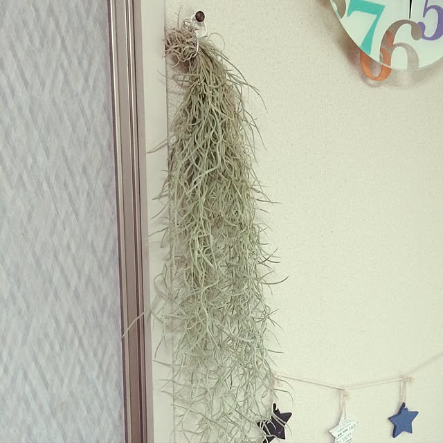 meegさんの実例写真