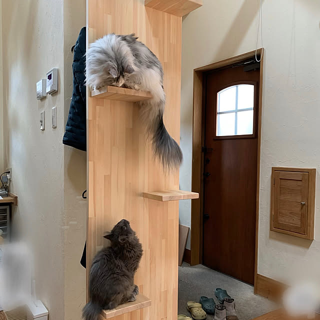 Kikko.さんの実例写真