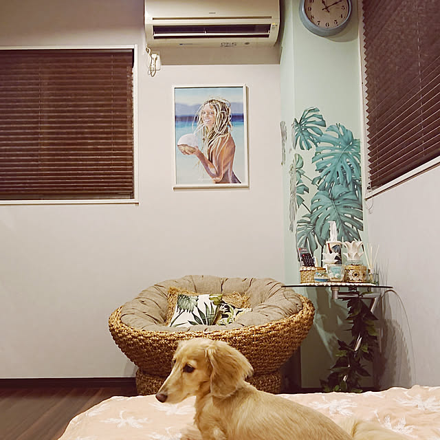 cocosorasakuさんの実例写真