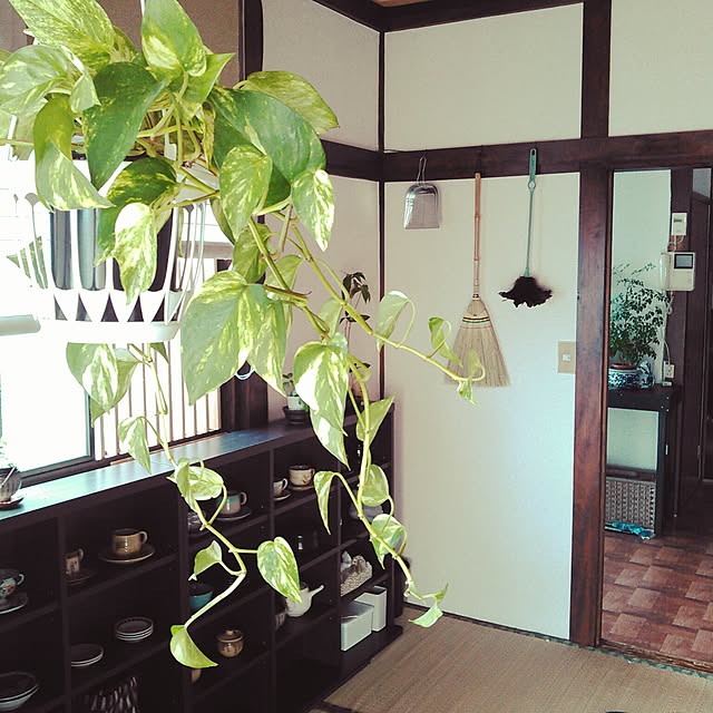 amelliaさんの実例写真