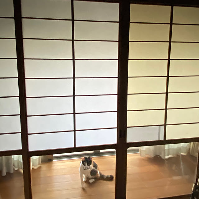 maroさんの部屋