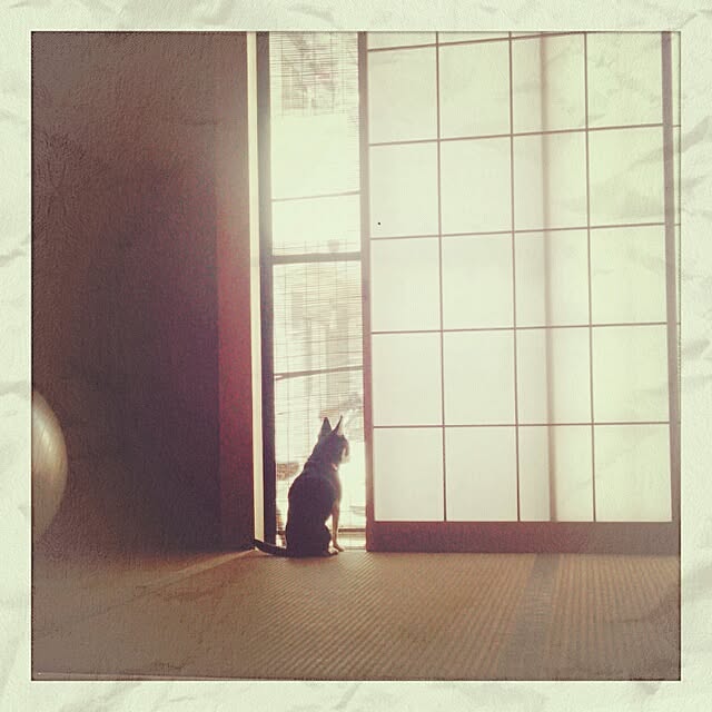 akhmさんの実例写真