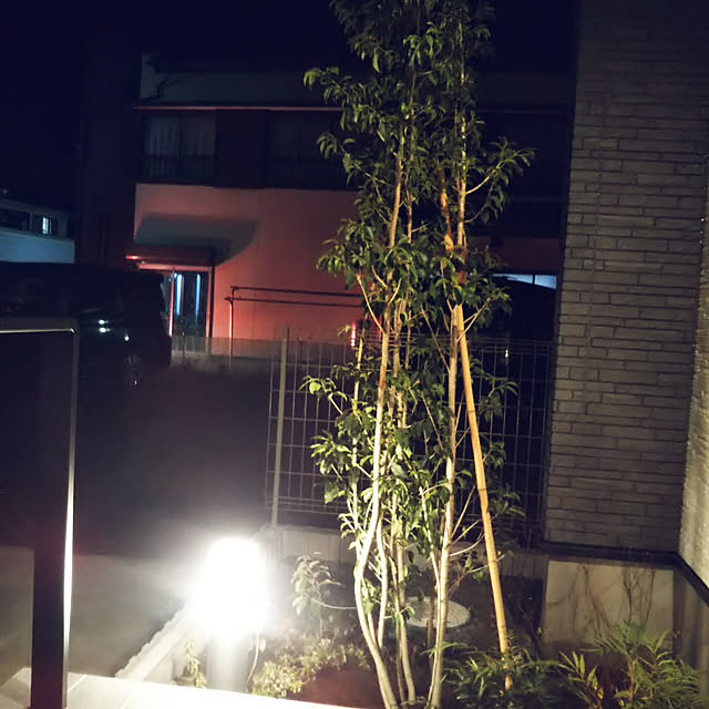 sayoさんの実例写真