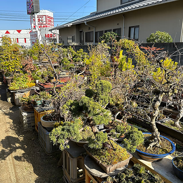 Kさんの部屋