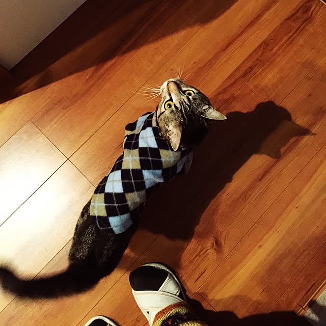 RIN5さんの実例写真