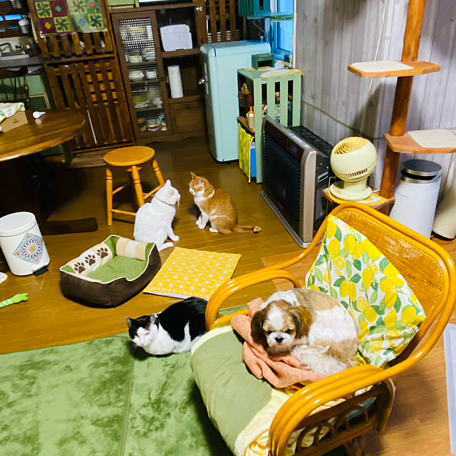 SHIHOさんの実例写真