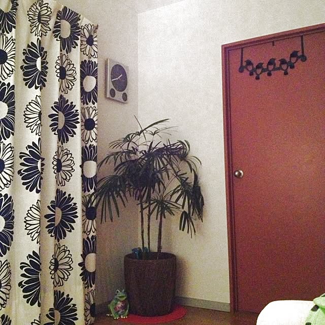 solongooさんの実例写真