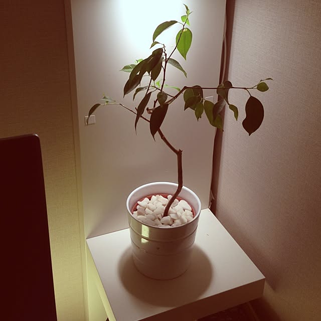 noon88さんの実例写真