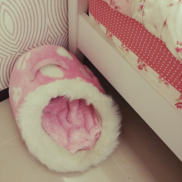 moさんの実例写真