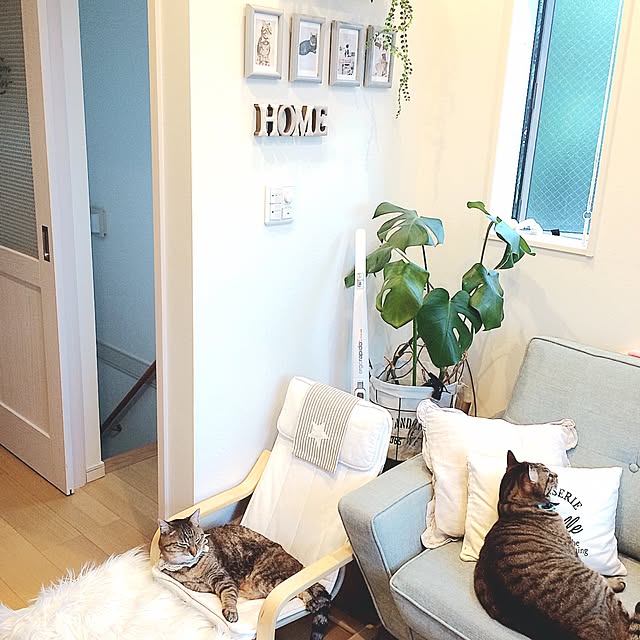 lovecatさんの実例写真