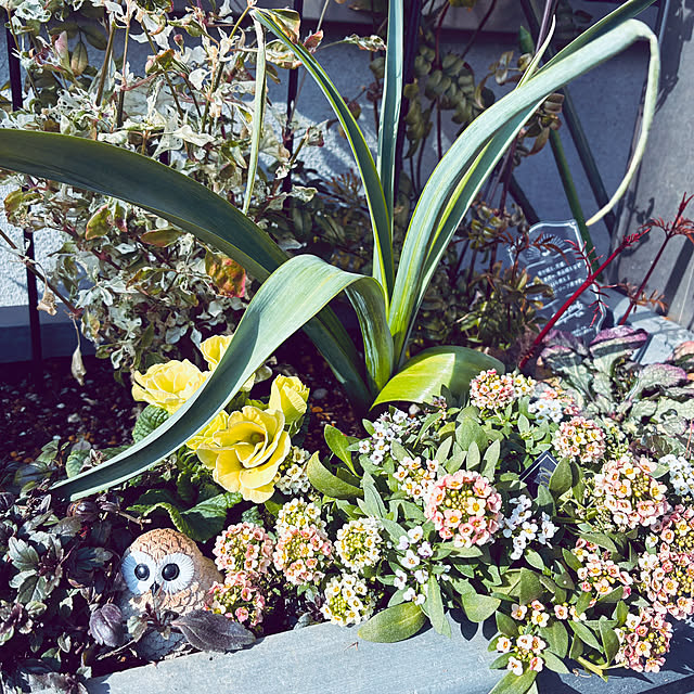 kikiさんの実例写真