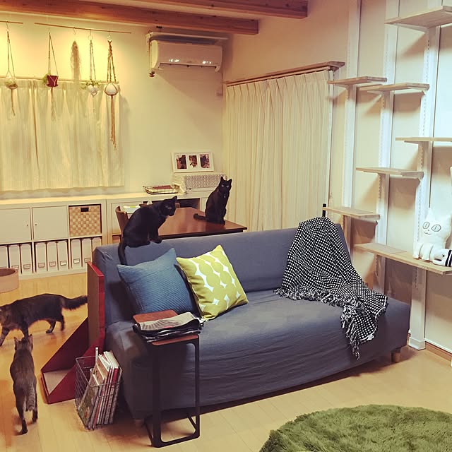 yuki0511さんの実例写真