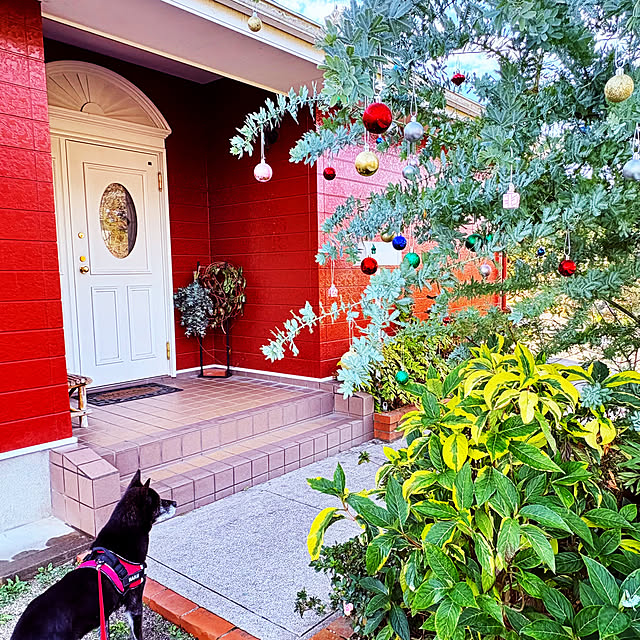 haruさんの実例写真