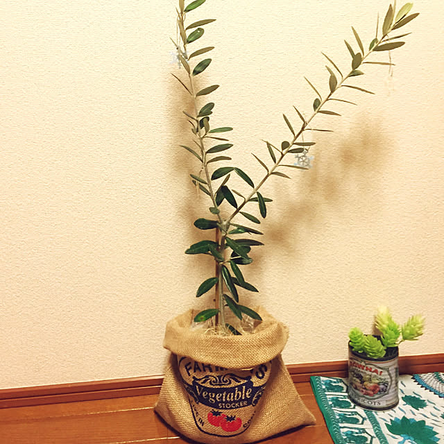 10さんの実例写真