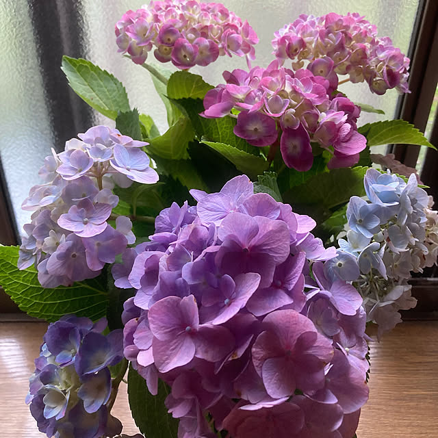 full.of_fun.mayuponさんの実例写真