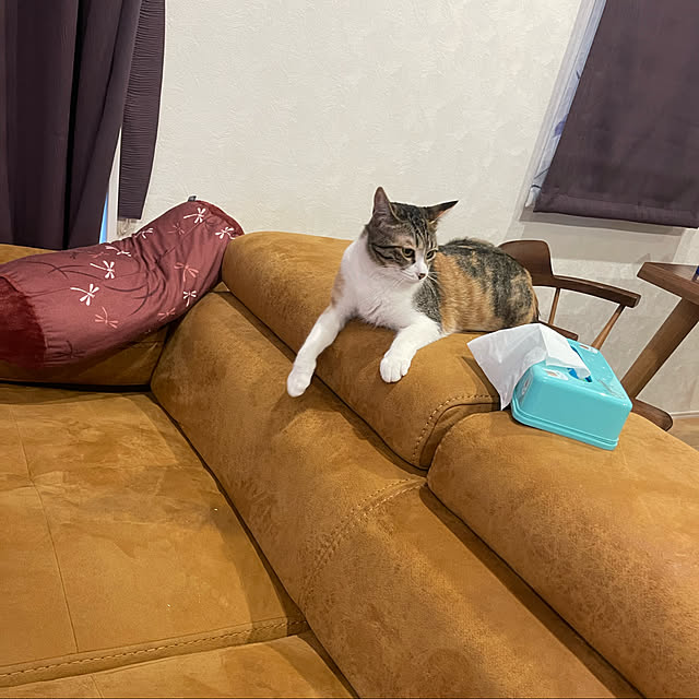 manekinekoさんの実例写真