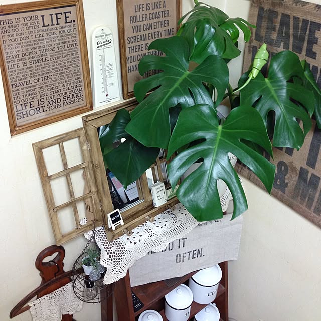 s.s.l_mikiさんの実例写真