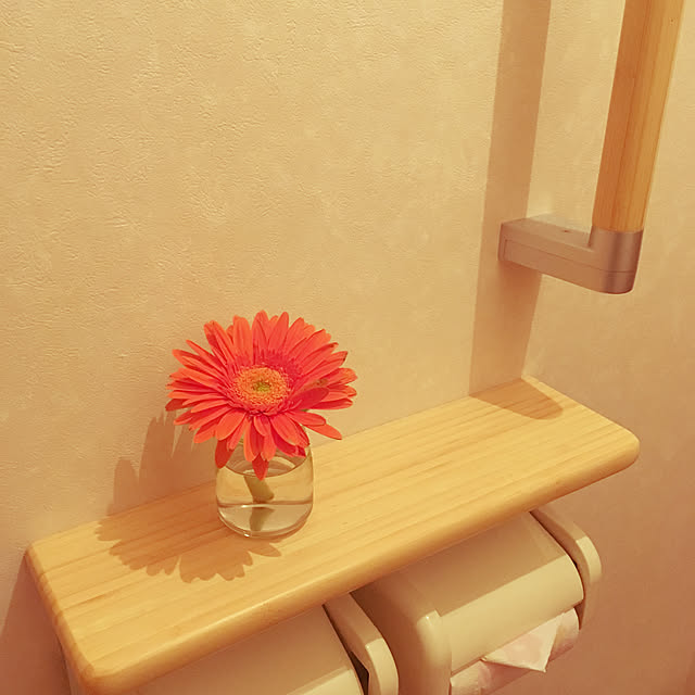 お花を飾る/お花のある暮らし/可愛い/トイレ棚/トイレットペーパーホルダー...などのインテリア実例 - 2019-03-12 23:14:07