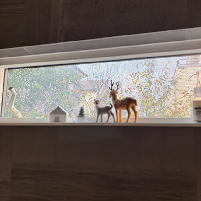 Minteaさんの部屋