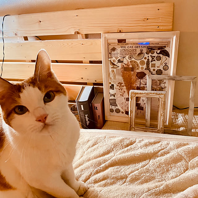 YUKAさんの実例写真