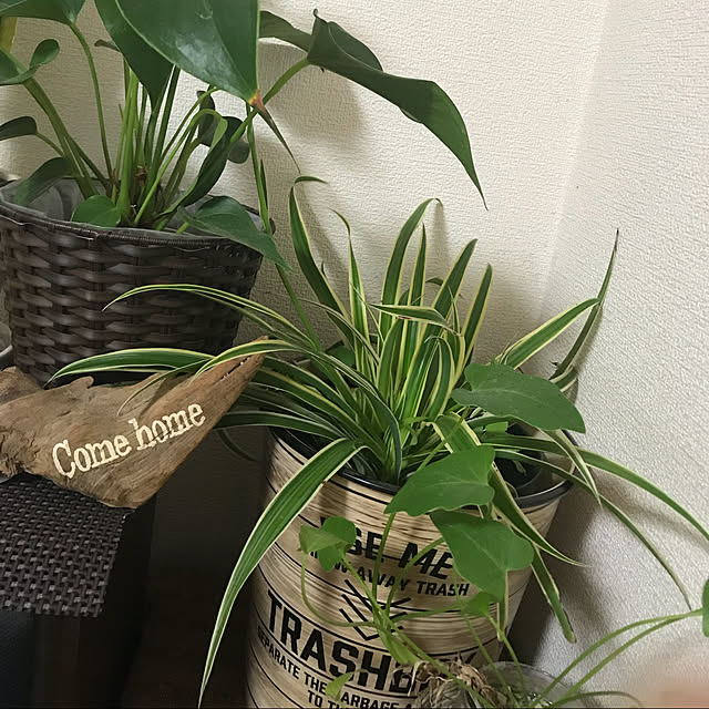 Akiさんの実例写真