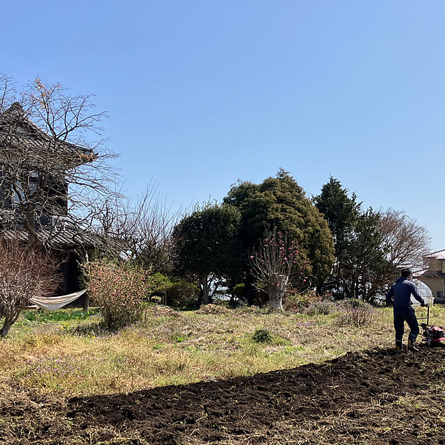 Takenoyaさんの実例写真