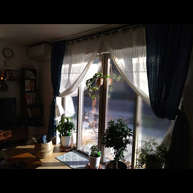 gordon_algernonさんの実例写真