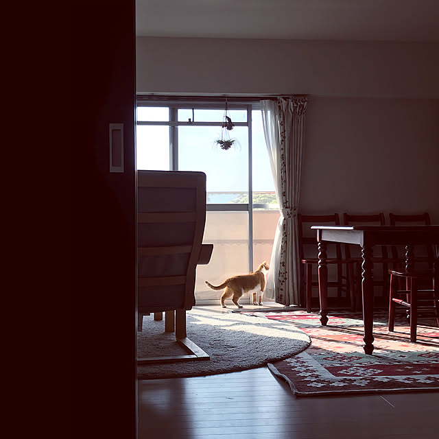 73さんの実例写真