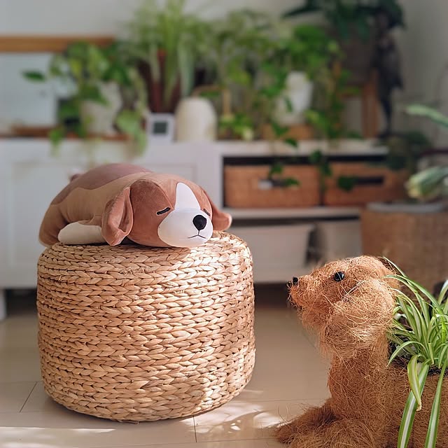 YuriYuriさんの部屋