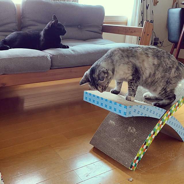 erichinさんの実例写真