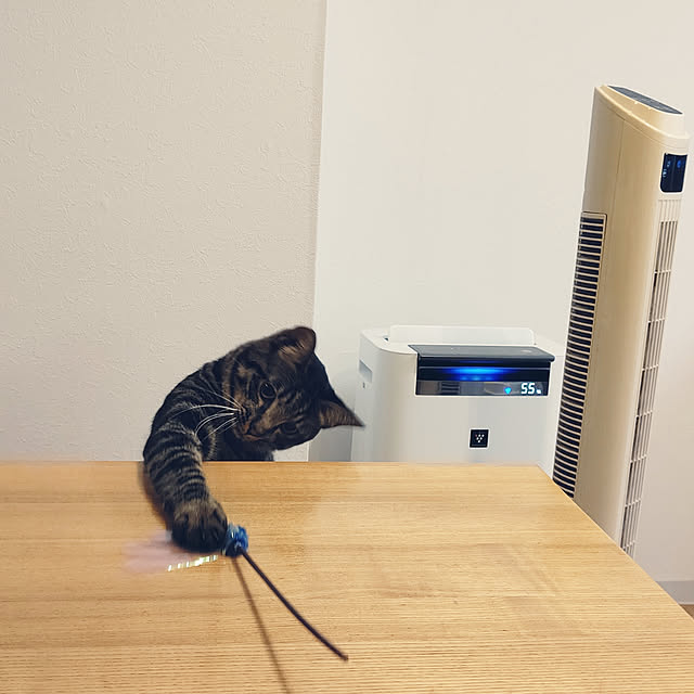 hihaさんの実例写真