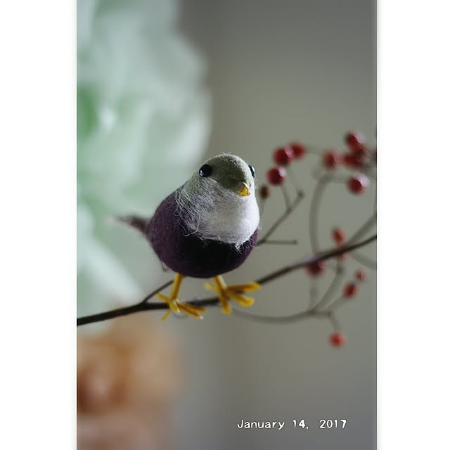 comiriさんの実例写真