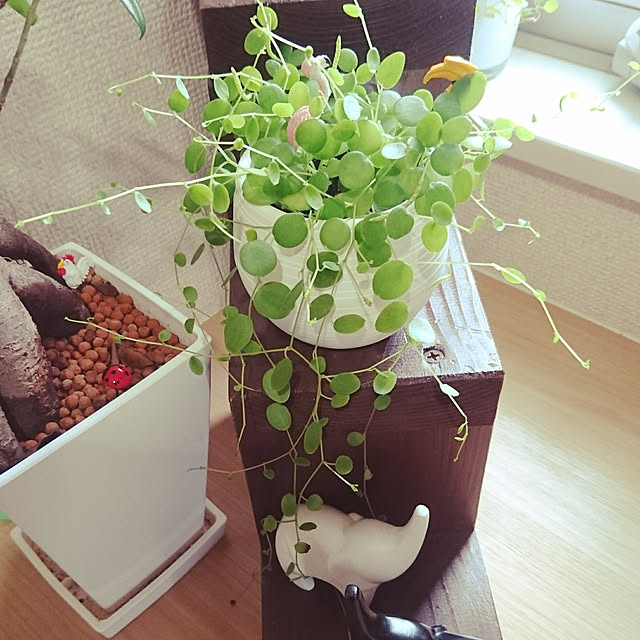 YUKIさんの実例写真