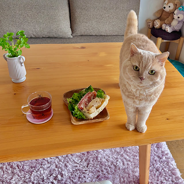 naokoさんの実例写真