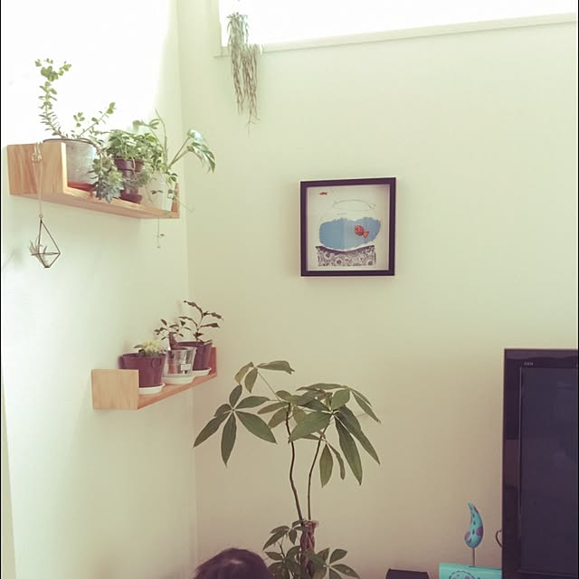 Yukiさんの実例写真