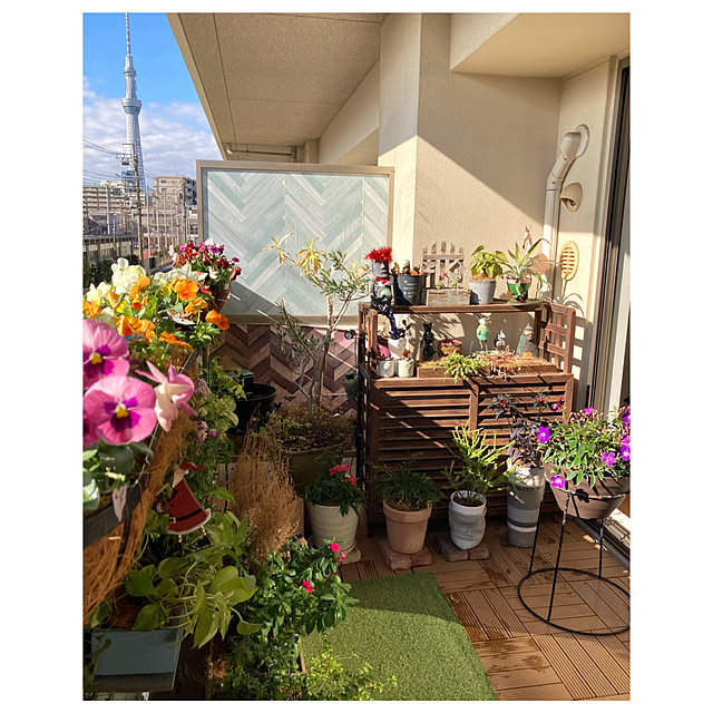 marukoさんの部屋