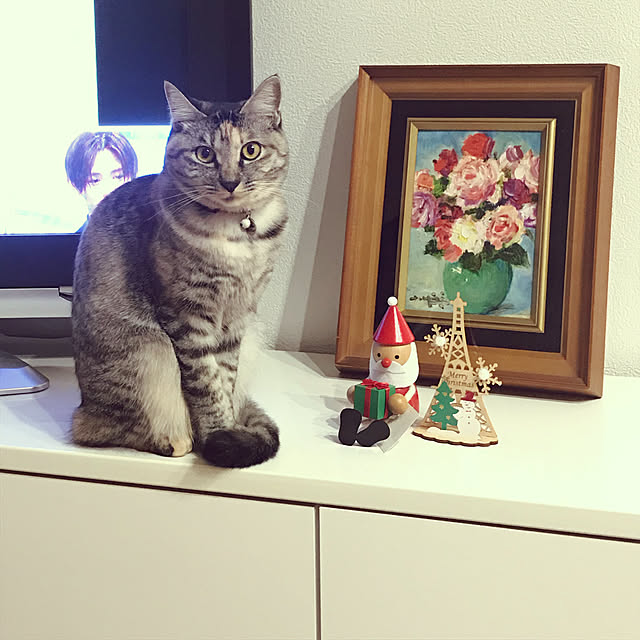 sakuraさんの実例写真