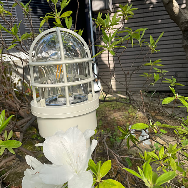 kuikoさんの実例写真