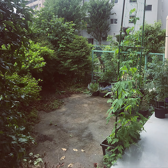maruさんの実例写真