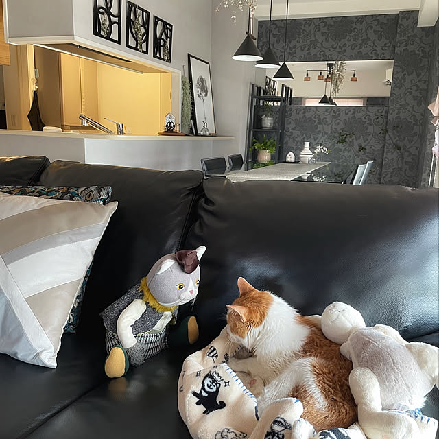 miruさんの実例写真