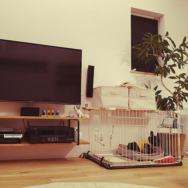 部屋全体のインテリア実例 - 2020-11-17 08:28:47