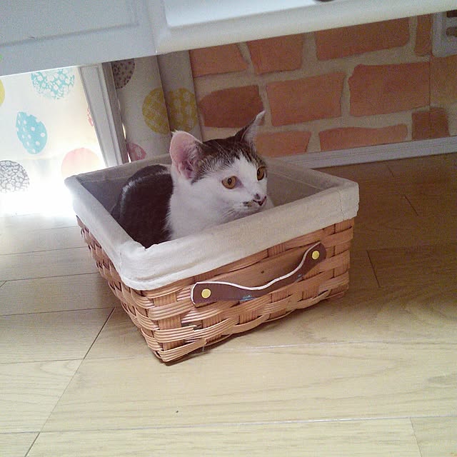 pouさんの実例写真