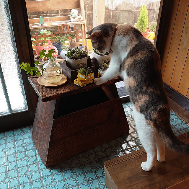fukuさんの実例写真