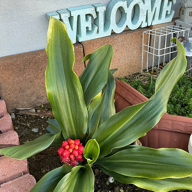 chiiyanさんの部屋