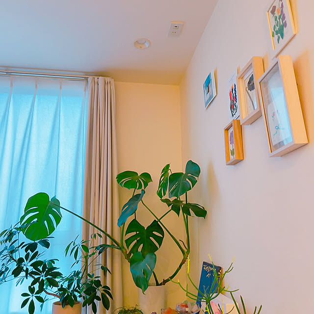 YYさんの実例写真