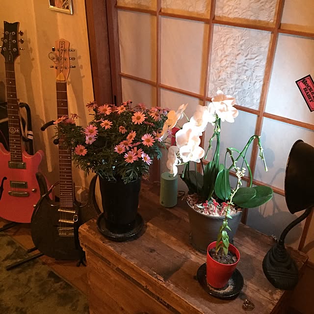SyuRiderさんの実例写真
