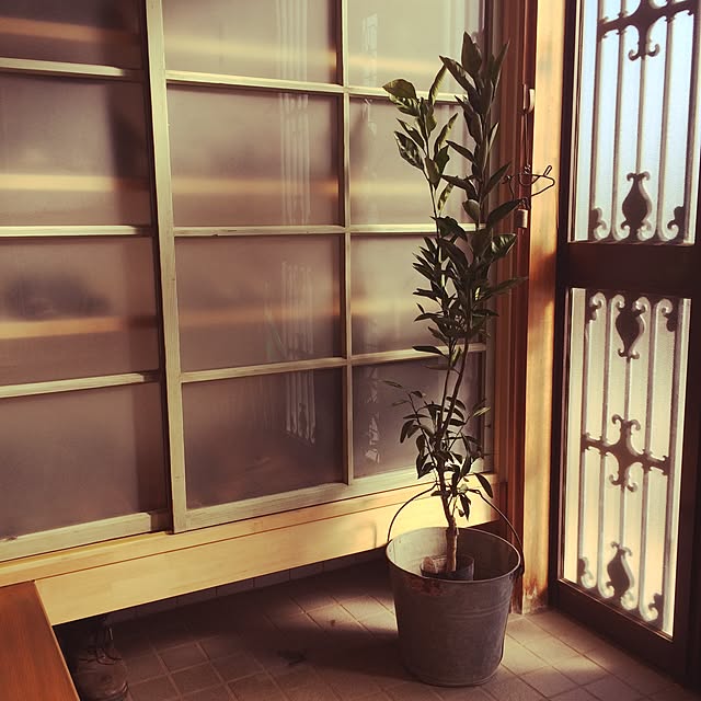 --ao--さんの実例写真