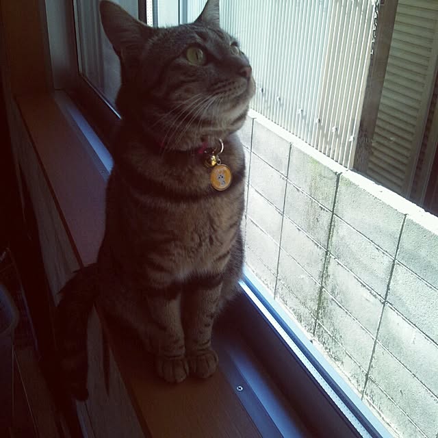 RIN5さんの実例写真