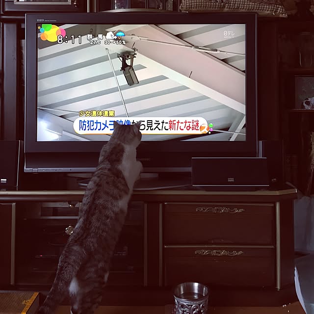 emmyyさんの実例写真